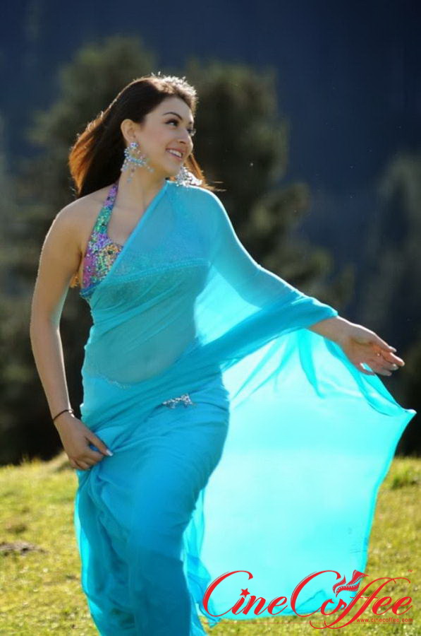 Hansika Hot Saree Photos