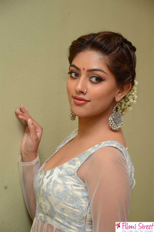 Actress Anu Emmanuel latest photos (11)