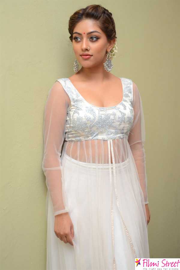 Actress Anu Emmanuel latest photos (16)