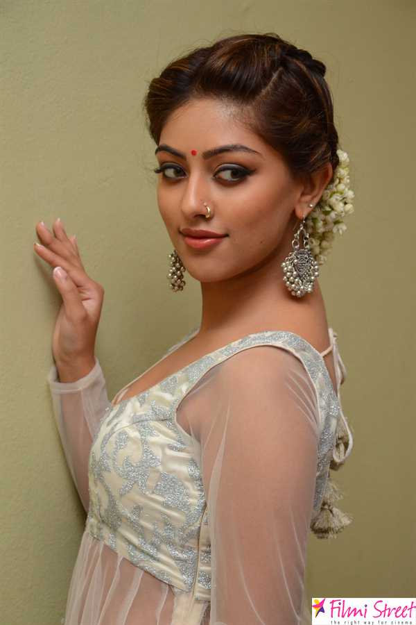 Actress Anu Emmanuel latest photos (20)