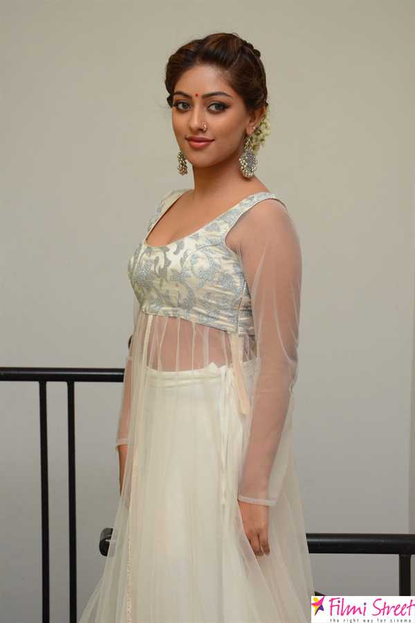 Actress Anu Emmanuel latest photos (21)